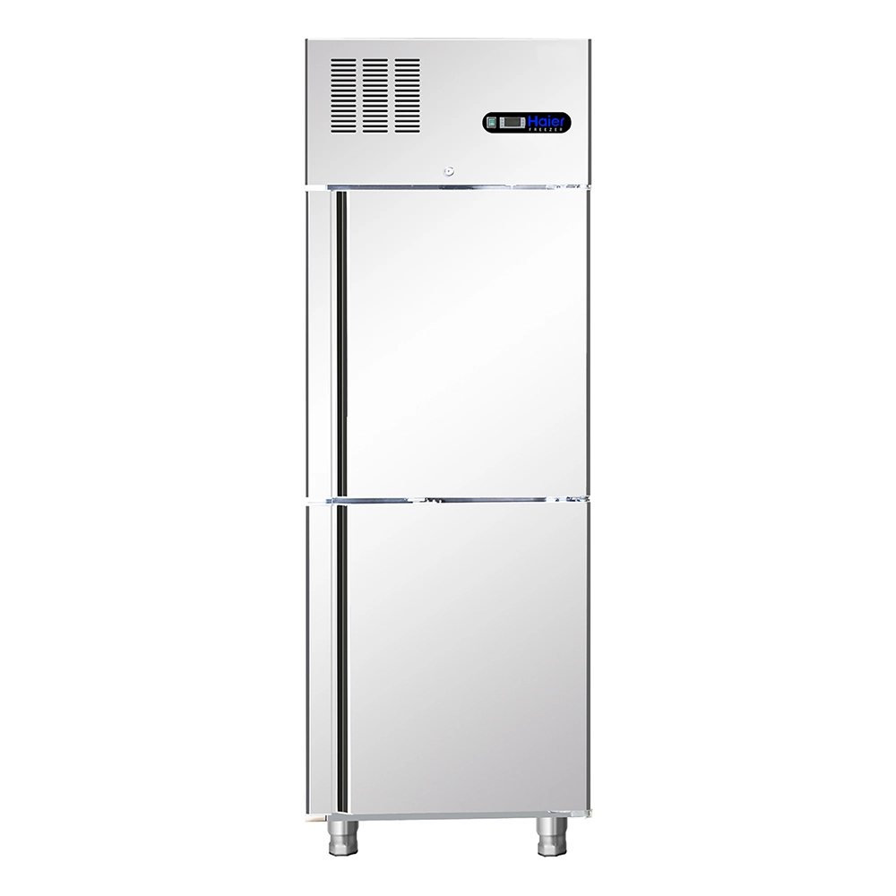Haier 2 Door Reach in Freezer
